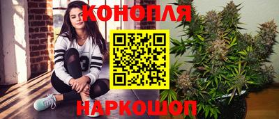 прущие грибы Можга