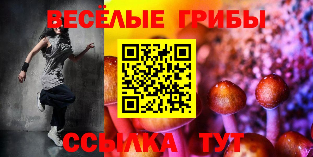 Псилоцибиновые грибы Cubensis Грозный